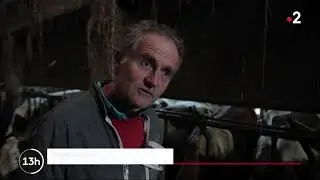 Le fromage Bleu du Vercors - Sassenage, mars 2021