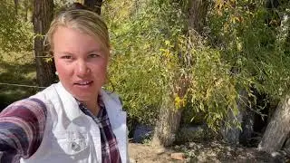 Parker Pastures Welcome Video