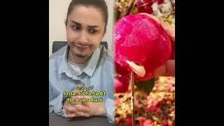 افضل واجمل 6 قصص إسراء نبيل 🔥😱 اكتشف بنفسك القصه ايه؟