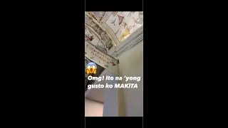 Vatican City iTaLy/4th Day/Feb.2025@MaggieLiciousVLog Museum to Saint Peter Basilica a must see!