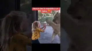 #zoo #children #likeandsubscribe #automobile #scary 😱😰 #viralvideo #facts #sound #song