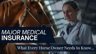 Major Medical Insurance for Horses &ndash; What Every Owner Needs to Know