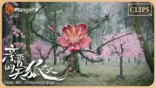 They are under attack by this monster?｜Dear Mr. Heavenly Fox 🦊#亲爱的天狐大人 | MangoTV Sparkle