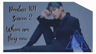 PRODUCE 101 SEASON 2: WHERE ARE THEY NOW (2020)