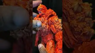 An AWESOME Clearance Pickup: Swamp Thing Planet Raan #actionfigures #toys #dc #mcfarlanetoys