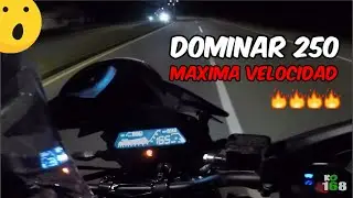 DOMINAR 250 || MAXIMA VELOCIDAD || TOP SPEED || 🔥🔥🏁🏁