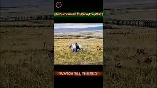 Man Dismounts to Face a Wolf Pack&mdash;Can Courage Beat the Wild?