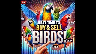 🦜 Bird Buying & Selling &ndash; Best Time ! 
