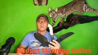 3 Budget Skinning Knives [That Work Great]