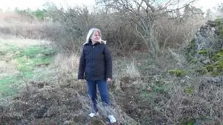 Eltűnt &Aacute;rp&aacute;d-kori vagy k&ouml;z&eacute;pkori falvaink 17 - Kis&ouml;rs falu