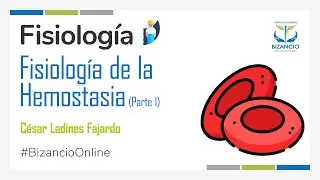 Bizancio Online || Fisiolog&iacute;a de la Hemostasia (Parte 1)
