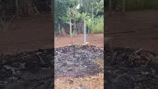 E t&aacute; saindo um galinheiro 👏🏽👏🏽👏🏽