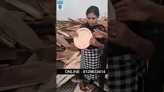 BEST HOMEMADE BUSINESS: ARECA/LEAF/PAPER PLATES | MACHINE | ONLINE MARKETING #businessideas #food