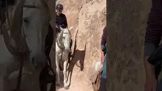 Land Of Beautiful Horses