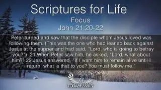 Scriptures for Life  |  Focus
