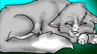 Коты воители: 8 племён / Cats warriors: 8 clans
