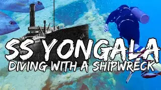 SS Yongala. The absolutely very best WRECK DIVE in the world?!