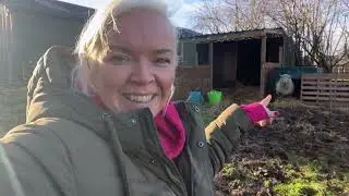 Game Pie, Food Issues & December Catch Up