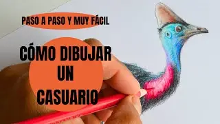 Como dibujar un Casuario a color paso a paso ¡muy fácil! ✍👀 😉