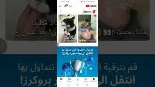 تحقيق بربلوكس😑