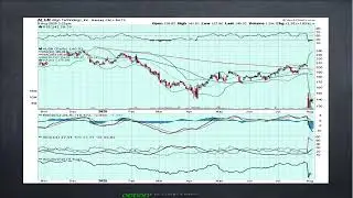 Afternoon Update: $LMND 400% bags - Added $ALGN and more...