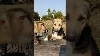 Best Video Of SokYaa,OG, To To And Mom Are Famous & Amazing #shorts