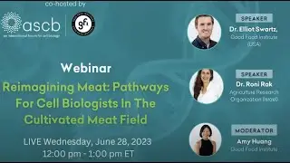 Reimagining meat: Pathways for cell biologists in the cultivated meat field