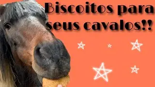 Como fazer biscoito para cavalo!!!🍪🐴