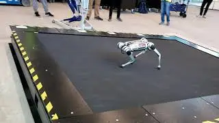 New Treadmill in Robotics Building is Tested by Cassie Blue and Mini-Cheetah