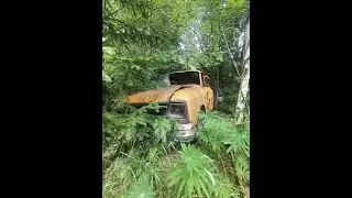 Abandonedfarm. Autiotila.