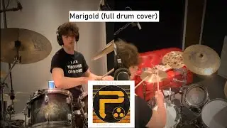 Marigold (full periphery drum cover)
