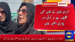 Imran Khan has no ear pain or any other illness, Aleema Khan