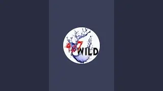 407Wild is live!