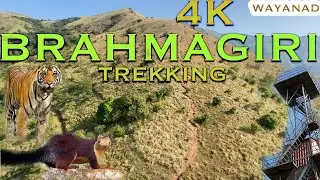 BRAMHAGIRI TREKKING:WAYANAD | ബ്രഹ്മഗിരി ട്രെക്കിങ്ങ്: വയനാട്