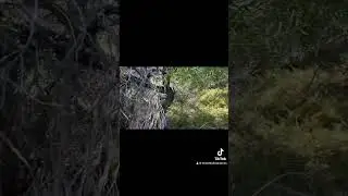 How I Find Tunnels and Bunkers in Perth