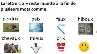 Apprendre la lettre x et ses différents sons ks, gz, z, s/ Apprendre  à lire facilement.