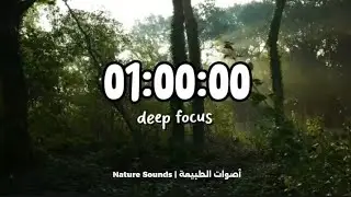 عداد ساعة إنجاز بأصوات الطبيعة 🌳 بدون موسيقى | 1Hour Timer - Nature Ambience