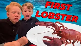 Kids Cook Live Lobster for the First time with Jim Gaffigan! (HILARIOUS)