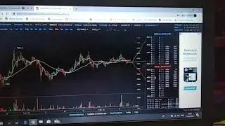 Date bitcoinwisdom 2019-02-21