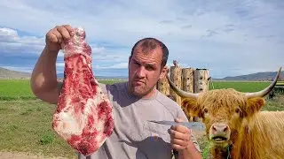 Throwing Knife Against Bone!