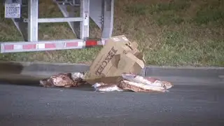 MEAT HEIST: Cases of meat stolen after thieves break into tractor-trailers in Northeast Philadelphia