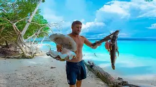 Survival Challenge - (No Food, No Fire, No Water) Remote Island