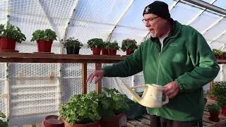 Watering in Winter & Move Update