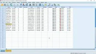 How to enter responses from Questionnaires on SPSS