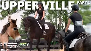 Upperville horse show vlog day 1!! lessoning + new ZONKEY!