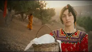 L'Olivier, le film - Kabylie​ : quand la transmission devient h&eacute;ritage !