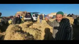 مباشرة من سوق الأسبوعي خميس سيدي حجاج مع تمن أعلاف 🇲🇦