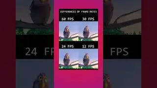 Video Kaise Banta Hai? | Motion Photos Explained | #FPS #Animation #Hinglish #Science