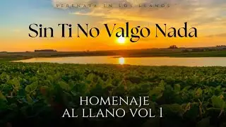 Serenata en Los Llanos - Sin ti no valgo nada (Video Audio Oficial)