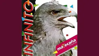 Un Dia Mas